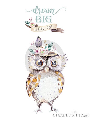 Cute bohemian baby owl animal for kindergarten, woodland nursery isolated decoration forest owls illustration for Cartoon Illustration