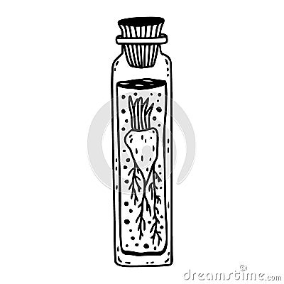 Cute bottle with root. Magical potion Vector Illustration