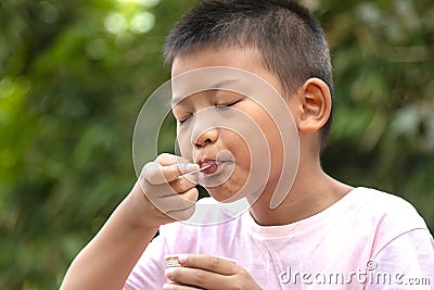 Portrait of a cute boy eating ice cream. Stock Photo