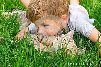 Cute boy with a kitten Stock Photo