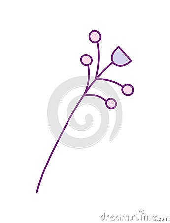 Cute branch seeds flower decoration nature on white background Vector Illustration