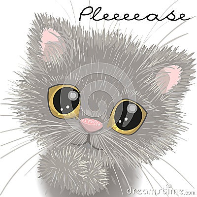 Cute british kitten Vector Illustration