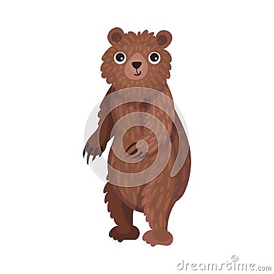 Cute Brown Bear as Carnivore Forest Animal Vector Illustration Vector Illustration