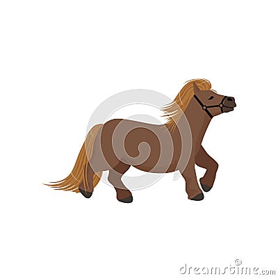 Cute brown pony, thoroughbred horse vector Illustration Vector Illustration