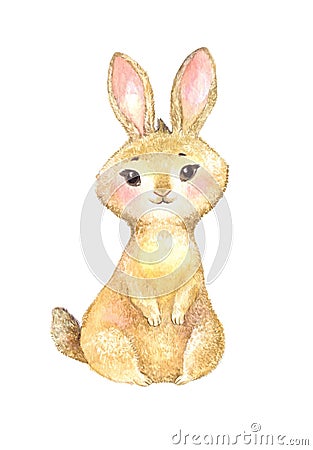 Cute brown rabbit illustration Cartoon Illustration