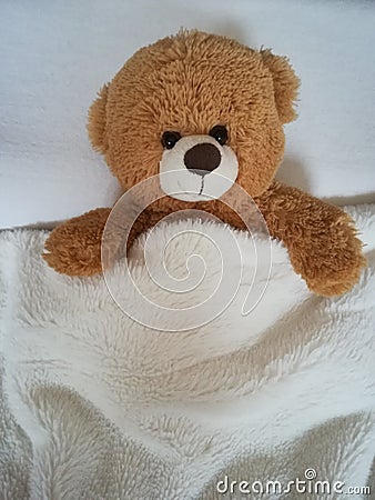 Teddy bear on bed. Stock Photo