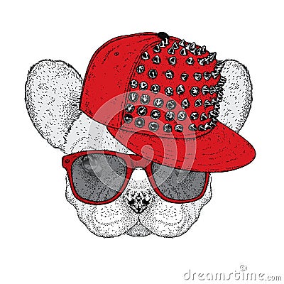 Cute bulldog in a cap with thorns and glasses. Vector illustration for a postcard or a poster. Funny dog. Vector Illustration