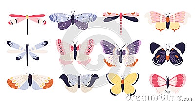 Cute butterflies collection, insects with colored pattern wings Stock Photo