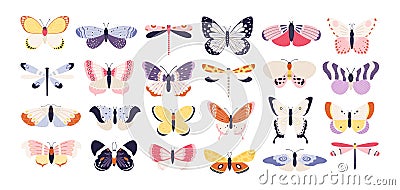 Cute butterflies. Decorative spring butterfly colorful wings. Monarch, moth and dragonfly. Tropical beautiful floral Vector Illustration