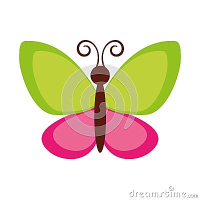 Cute butterfly flying icon Vector Illustration