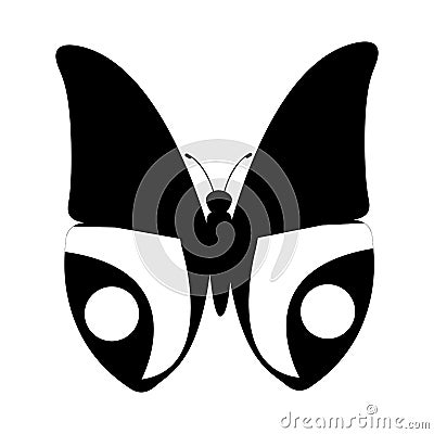 Cute butterfly isolated icon Vector Illustration