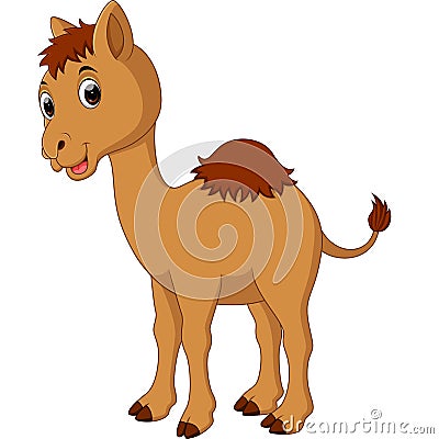 Cute camel cartoon Vector Illustration