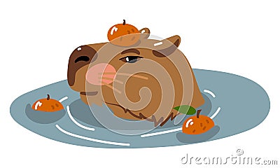 Cute capybara vector design. Capybara in the Japanese hot spring Onsen with tangerines. A capybara floating in the water Vector Illustration
