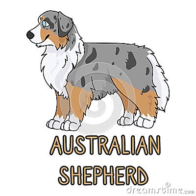 Cute cartoon australian shepherd dog breed with text word print vector clipart. Pedigree kennel doggie breed for dog Vector Illustration