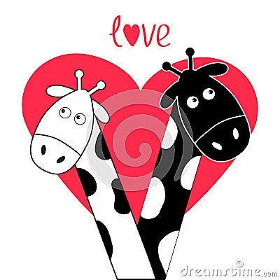 Cute cartoon black white giraffe boy and girl Big heart. Camelopard couple on date. Funny character set. Long neck. . Happy family Vector Illustration