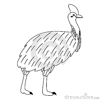 Cute, cartoon cassowary bird. Line art Vector Illustration