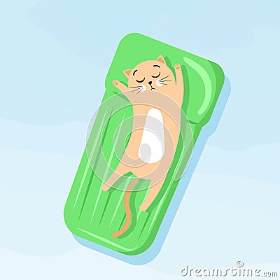 Cute cartoon cat swims in the pool on an inflatable mattress for swimming. Vector Illustration