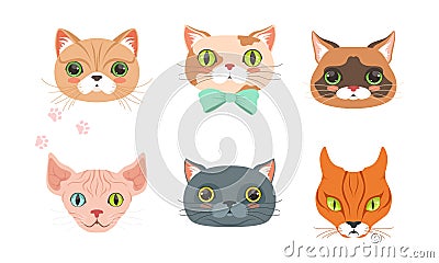 Cute Cartoon Cats and Dogs Muzzle Vector Set Vector Illustration