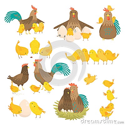 Cute cartoon cock family set isolated on white background Vector Illustration