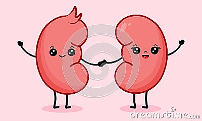 Cute cartoon couple of happy kidneys character Vector Illustration