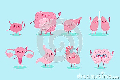 Cute cartoon different organ Stock Photo