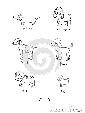 Cute cartoon dogs of various breeds Vector Illustration