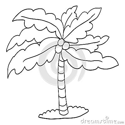 Cute cartoon doodle linear palm isolated on white background. Vector Illustration