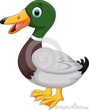 Cute cartoon duck Vector Illustration