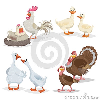 Cute cartoon farm birds set. Couple birds collection. Rooster and hen, ducks, geese and turkeys. Farm animals. Vecor illustrations Vector Illustration