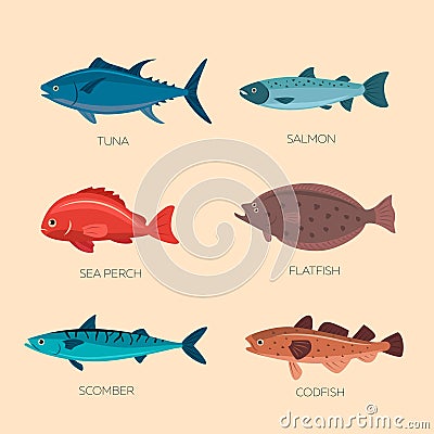 Cute cartoon flat fishes Vector Illustration