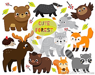 Cute cartoon forest animals set. Woodland wildlife. Badger, raccoon, moose and other wild creatures for kids and children Vector Illustration
