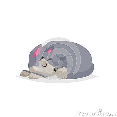 Cute cartoon gray dog sleep. Pet animal. Flat with simple gradient illustration. Farm animal. Vector drawing Vector Illustration