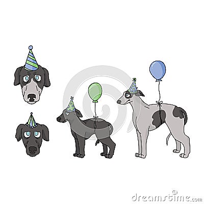 Cute cartoon greyhound dog party set vector clipart. Pedigree kennel racing hound for dog lovers. Purebred domestic Vector Illustration