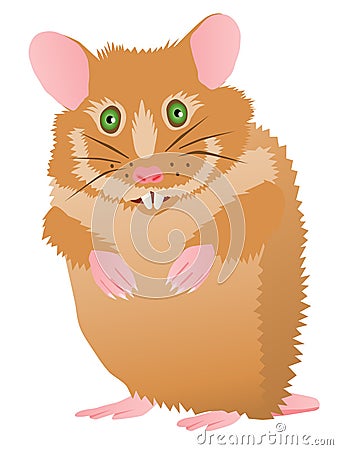 Cute cartoon hamster Vector Illustration