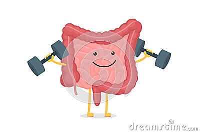 Cute cartoon healthy intestines character with dumbbells. Abdominal cavity digestive and excretion human internal organ Vector Illustration