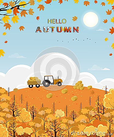 Cute cartoon Hello Autumn forest with bright light on sunny day, Mid autumn Harvest landscape farm field, tractor, haystack, hill Vector Illustration