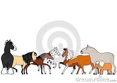 Cute cartoon horse breed group Vector Illustration