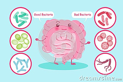 Cute cartoon intestine Vector Illustration