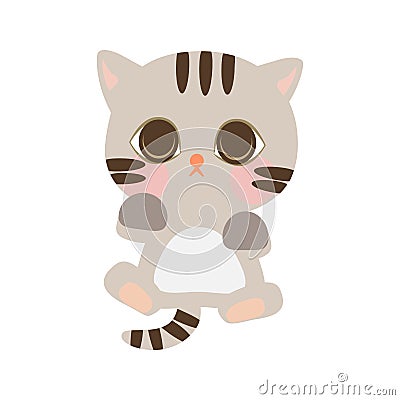 Cute Cartoon Little Baby Cat Icon. Cat sitting on the floor with front position. Cat with gray color. Vector Illustration