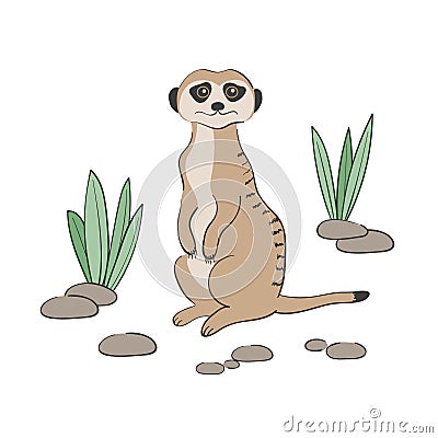 Cute cartoon Meerkat isolated on white background Vector Illustration