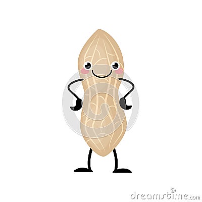 Cute cartoon peanut vector illustration isolated on white background. Vector Illustration