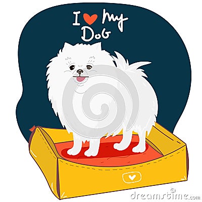 Cute cartoon pomeranian puppy I love my dog, vector print. Pedigree kennel doggie breed for dog lovers. illustration Vector Illustration