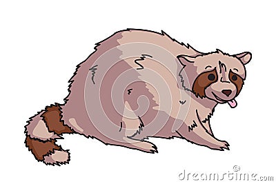 Cute raccoon forest inhabitant isolated on white Vector Illustration