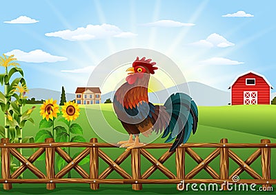 Cute cartoon rooster crowing in the farm fence Vector Illustration