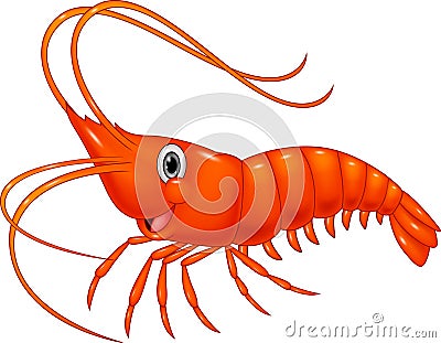 Cute cartoon shrimp Vector Illustration