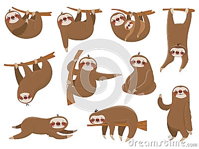 Cute cartoon sloths. Adorable rainforest animals, mother and baby on branch, funny sloth animal sleeping on jungle tree Vector Illustration