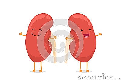 Cute cartoon smiling healthy kidney character. Human genitourinary system internal organ vector illustration Vector Illustration