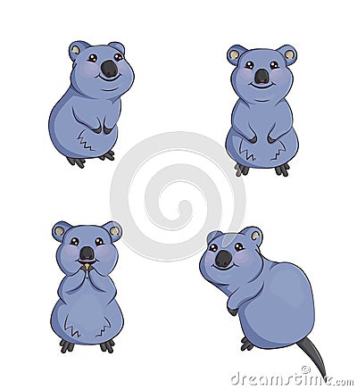 Cute cartoon smiling quokka animals in various poses Vector Illustration