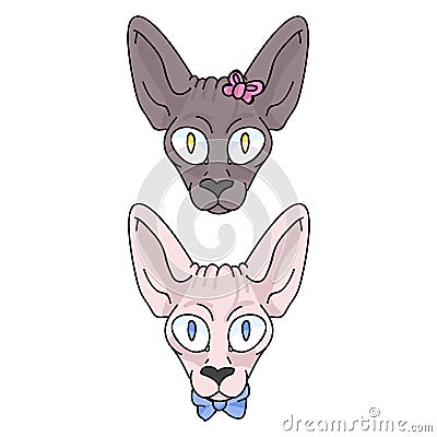 Cute cartoon sphynx face kitten boy and girl vector clipart. Pedigree exotic kitty breed for cat lovers. Purebred Vector Illustration