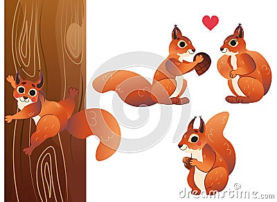 Cute cartoon squirrel vector set. Squirrel in different postures. Forest animals for kids. Isolated on white background Vector Illustration